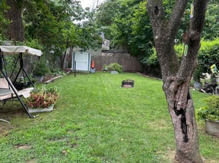 Tina W.'s lawn care services service result