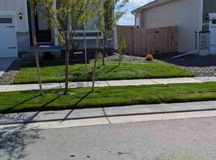 Ariel V.'s lawn maintenance service result