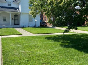Sean M.'s lawn care service result