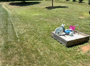 Deshaun S.'s grass maintenance service result