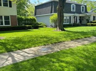 Shakana K.'s lawn care service result