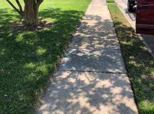 Tiffany N.'s grass cutting service result