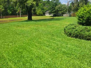 Craig C.'s lawn maintenance service result