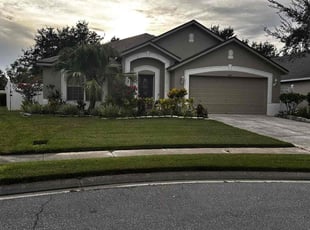 Michael N.'s lawn service service result