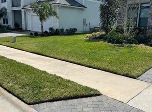 Wayne R.'s turf maintenance service result