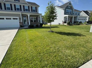 Kristin A.'s lawn maintenance service result