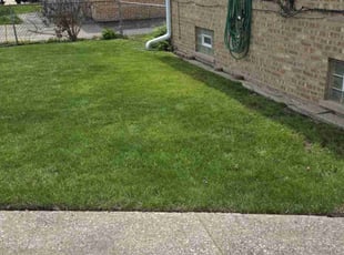 Eileen H.'s lawn care services service result
