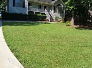 Andrea M.'s grass maintenance service result