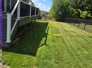 Tom R.'s lawn care services service result