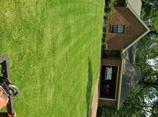Mendy R.'s lawn maintenance service result