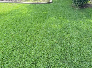 Brock B.'s lawn care services service result