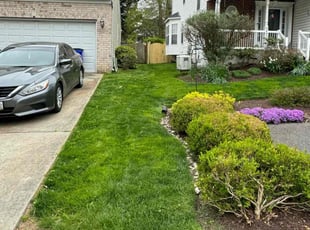Amirah H.'s grass cutting service result