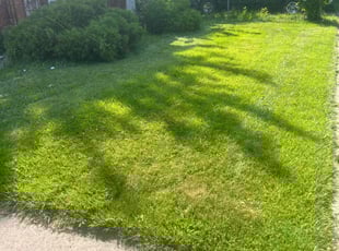 Ricardo M.'s lawn care services service result