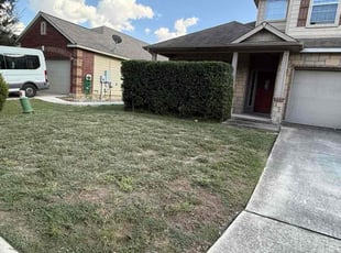 Troy B.'s Bush Trimming service result