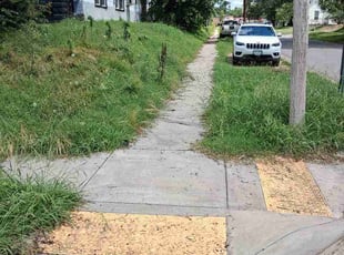 Sharon B.'s lawn maintenance service result