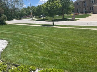 Adekunmi K.'s lawn maintenance service result