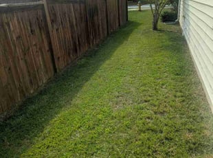 Fournel E.'s lawn care service result