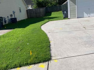 Robert E.'s lawn care services service result