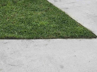 Tj B.'s turf care service result