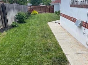 Levon V.'s grass maintenance service result
