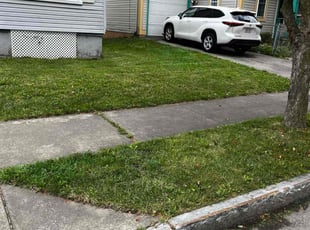 Jennifer H.'s turf maintenance service result