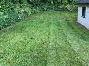 Cheryl E.'s turf maintenance service result