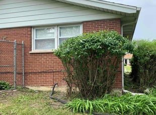 Jeremiah S.'s Bush Trimming service result