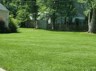 Susan S.'s grass maintenance service result