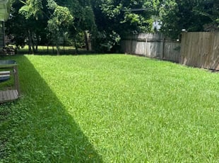 Victoria M.'s grass maintenance service result