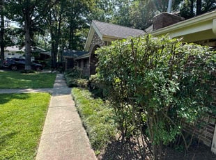 Flora F.'s Bush Trimming service result