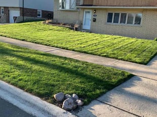 Melanie L.'s grass cutting service result