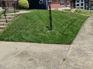 Martha M.'s lawn service service result