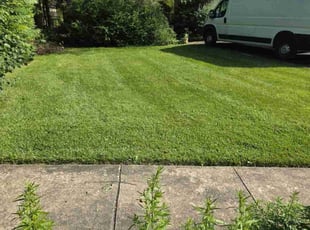 Julie W.'s turf care service result