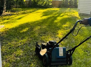 Bob P.'s turf care service result