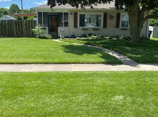 Daniel B.'s lawn care service result