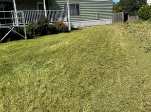 Kim D.'s Long Grass Cleanup service result