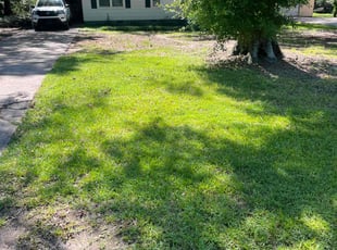 Linda S.'s grass cutting service result