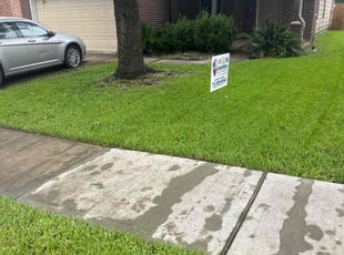 Luci G.'s lawn maintenance service result