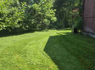 Malivia M.'s lawn care services service result