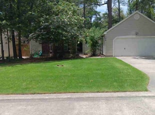 Lisa T.'s turf maintenance service result