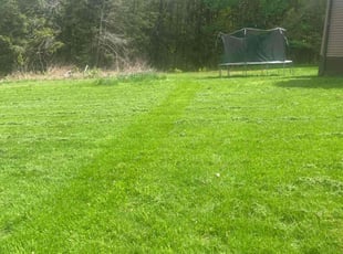 Mike B.'s grass maintenance service result