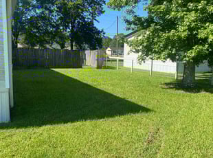 Jessica S.'s grass cutting service result