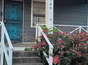Anita R.'s lawn service service result