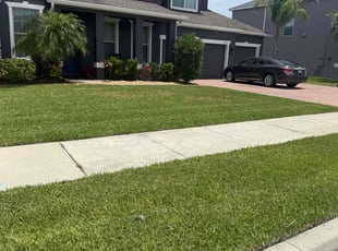 Augustine M.'s grass maintenance service result