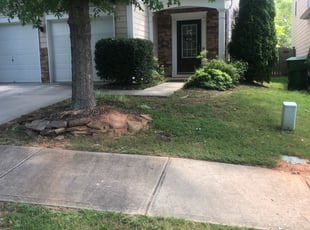 Chris C.'s Bush Trimming service result
