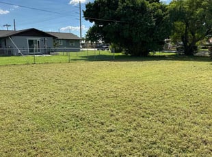 Erin D.'s turf maintenance service result