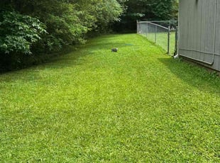 Val S.'s turf care service result