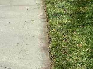 Cynthia M.'s lawn service service result
