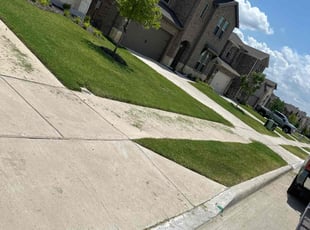 Sara C.'s lawn care services service result