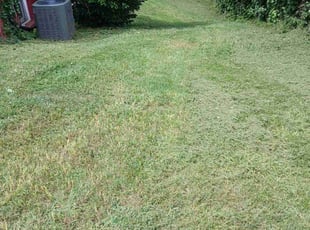 Sagar M.'s turf maintenance service result